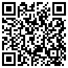 QR Code Handyversion