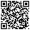 QR Code Handyversion