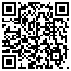 QR Code Handyversion