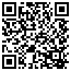 QR Code Handyversion