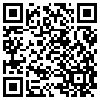 QR Code Handyversion