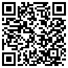 QR Code Handyversion