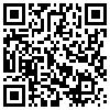 QR Code Handyversion