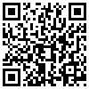 QR Code Handyversion