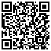 QR Code Handyversion