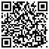 QR Code Handyversion