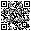 QR Code Handyversion