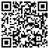 QR Code Handyversion