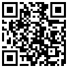 QR Code Handyversion