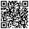 QR Code Handyversion