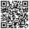 QR Code Handyversion