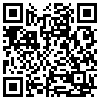 QR Code Handyversion