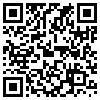 QR Code Handyversion