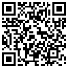 QR Code Handyversion