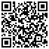 QR Code Handyversion