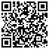 QR Code Handyversion