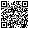 QR Code Handyversion