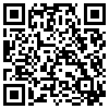 QR Code Handyversion