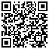 QR Code Handyversion