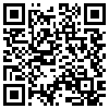 QR Code Handyversion