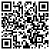 QR Code Handyversion