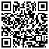 QR Code Handyversion