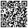 QR Code Handyversion