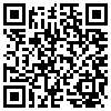 QR Code Handyversion