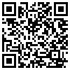 QR Code Handyversion