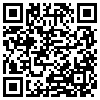 QR Code Handyversion