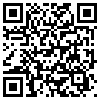 QR Code Handyversion