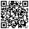 QR Code Handyversion