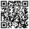 QR Code Handyversion