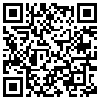 QR Code Handyversion