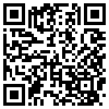 QR Code Handyversion