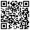 QR Code Handyversion