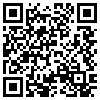 QR Code Handyversion