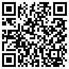 QR Code Handyversion