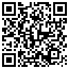 QR Code Handyversion