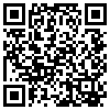 QR Code Handyversion