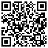 QR Code Handyversion