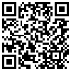 QR Code Handyversion