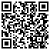 QR Code Handyversion