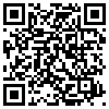 QR Code Handyversion