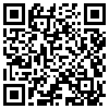 QR Code Handyversion