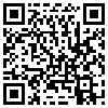 QR Code Handyversion