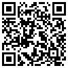 QR Code Handyversion