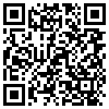 QR Code Handyversion