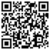 QR Code Handyversion