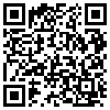 QR Code Handyversion